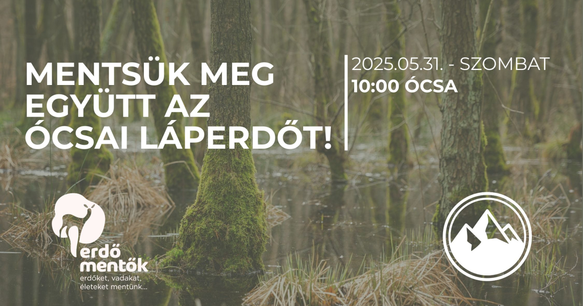 Ócsai láperdő mentés - közösségi összefogás május 31.