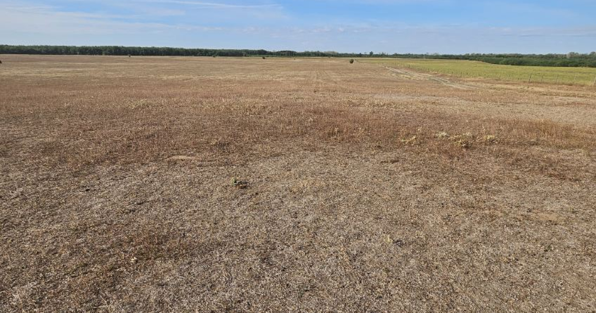 PÁLYÁZATI FELHÍVÁS az Ócsa, 0170/7 hrsz-ú ingatlan értékesítésére